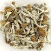Buy Florida White (F+) Magic mushroom Strain online
