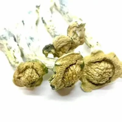Buy Trinity Magic mushroom online.