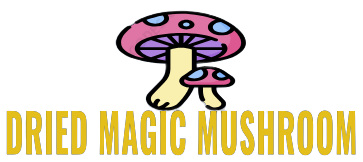 Dried Magic Mushroom Spores